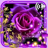 Purple Roses LWP icon