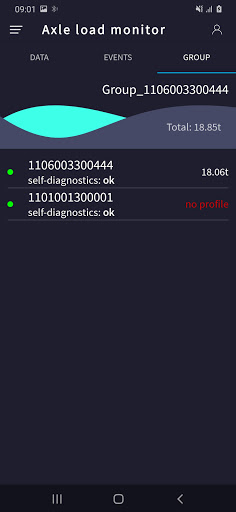 Axle load monitor Screen 3