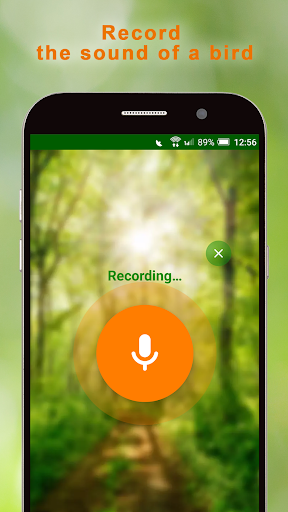 Android application BirdNerd: Bird Song Identifier screenshort