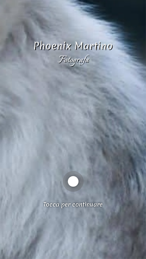 Android application Phoenix Martino screenshort