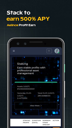 Aelince Screen 3
