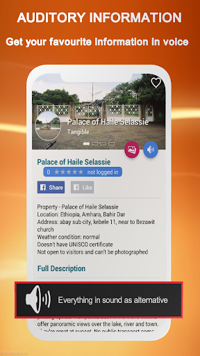 PALM CITY - Bahir Dar Screen 2