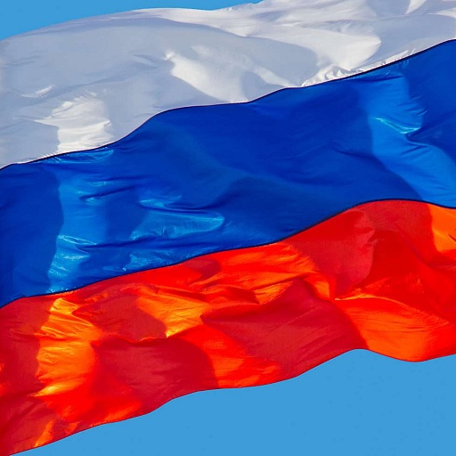 Russia flag logo
