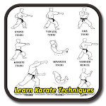 Cover Image of डाउनलोड Learn Karate  APK