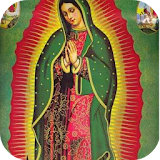 Flor 4 Virgen Guadalupe icon