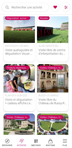 Dijon City Pass Screen 3