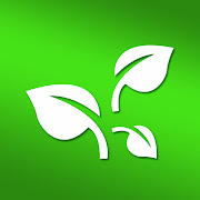 Plant Rental