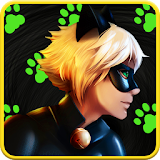 Miraculous Cat Noir Superhero icon