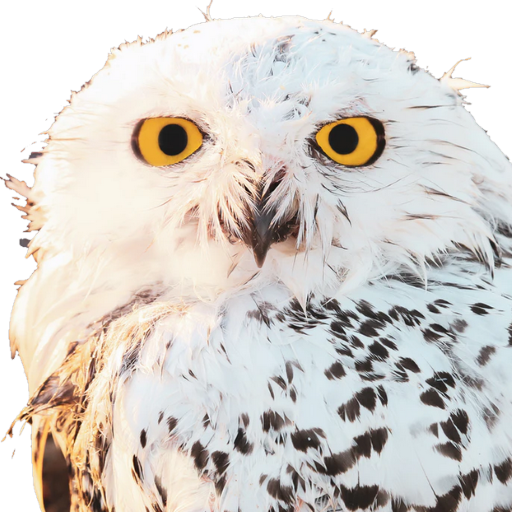 GPSOwl Enterprise GPS Uploader logo