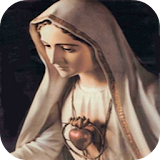 Imagem Nossa Senhora De Fatima Peregrina icon