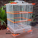 Bird Cage Model Изтегляне на Windows