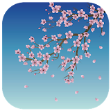 Sakura blossom icon