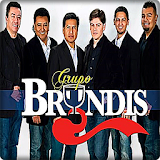 Música Grupo Bryndis Mix icon