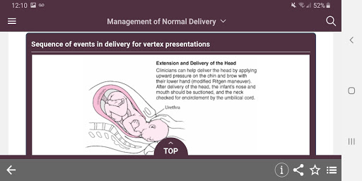 Screenshot of MSD Manual Guide to Obstetrics