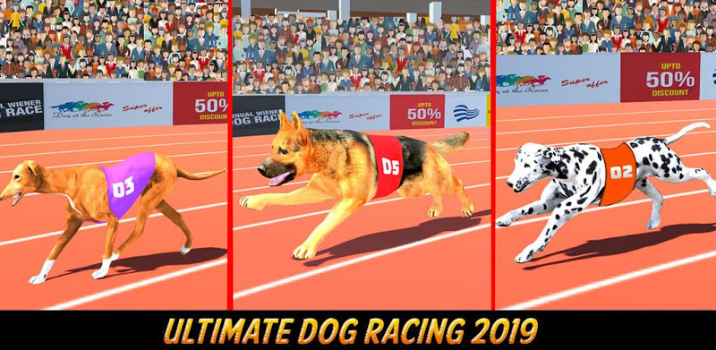 Dog Race Game: Dog Racing 3D