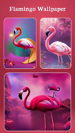 HD Flamingo Bird Wallpaper Screenshot 1 - AppWisp.com