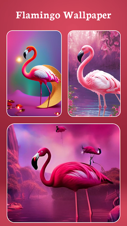 HD Flamingo Bird Wallpaper - 30 - (Android)