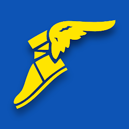 Goodyear EMTrack: Download & Review