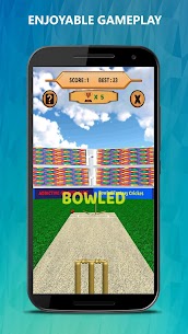Bowled 3D – Cricket Game 2