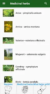 Mom´s Botanicals