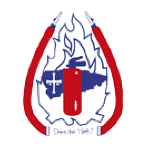 Sadex logo