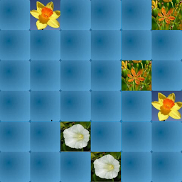 Icon image Memigra 06 - Cveće