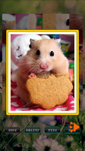 Hamster Pet Puzzles Screen 2