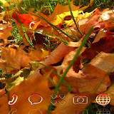 Autumn Grass CLauncher Theme icon