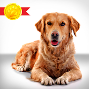 Top 49 Education Apps Like My Dog Training App - 30 Days Puppy Training - Best Alternatives