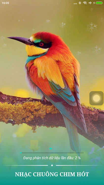 Cài Nhạc Chuông Tiếng Chim Hót - 1.2 - (Android)
