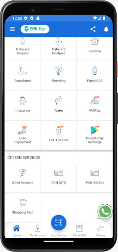 PNKPAY Recharge, DMT, AEPS