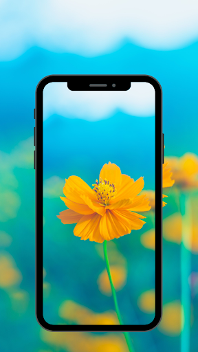 Flowers Wallpaper UHD Screen 3