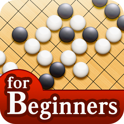 How to play Go "Beginner's Go"