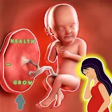 Pregnancy test: Fetus Grow icon