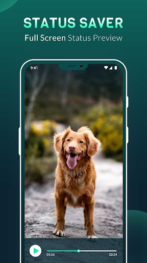 Status Saver  Downloader