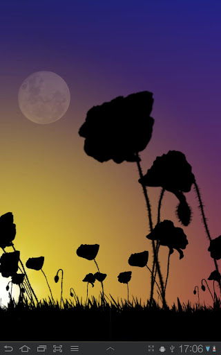 Poppy Field Lite Screen 2