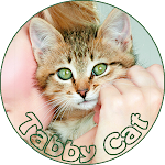 Cover Image of डाउनलोड Tabby Cat  APK