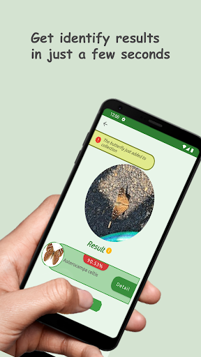 Butterfly: Identify, Search Screen 2