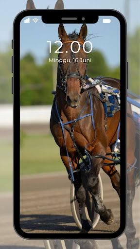 Wallpaper Kuda Screen 3