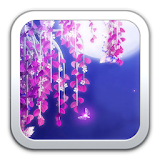 Moonlight sakura LiveWallpaper icon