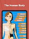 screenshot of Human Anatomy - Body parts