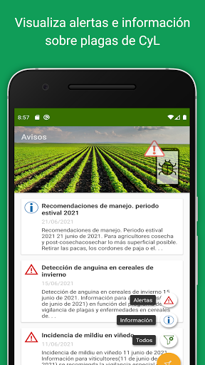 Android application Plagrícola: Plagas Agrícolas C screenshort