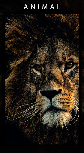 5K Stunning Wallpapers (pro) Screen 3