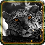 Snow Leopard Sounds icon