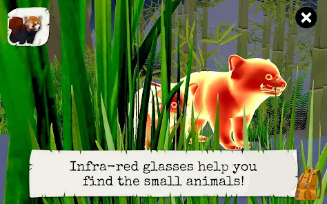 Wild Animals VR Kid Game 14