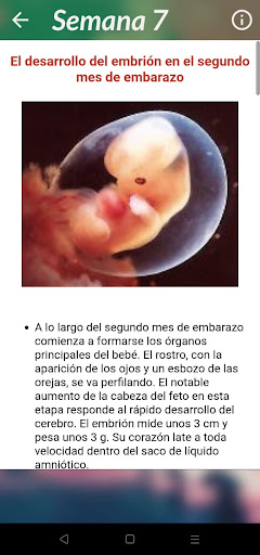 Android application Control de Embarazo screenshort
