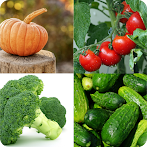 Guess The Vegetables