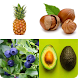 Guess the fruit! - Androidアプリ