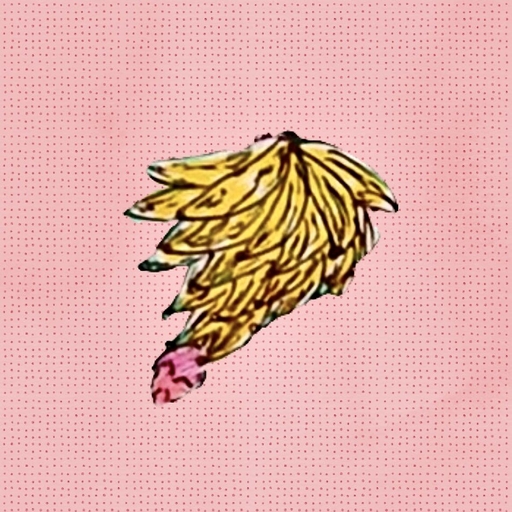 Cocoon Organiser logo
