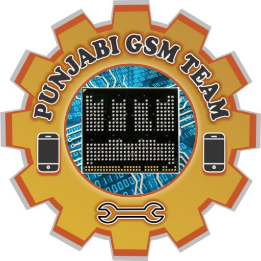 Punjabi GSM Team logo